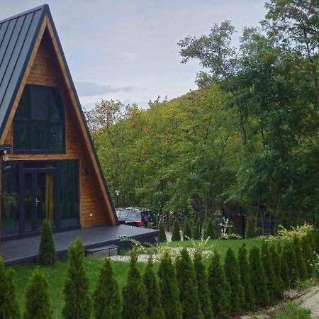 E&T-Cabin A Frame Hermannstadt Exterior foto